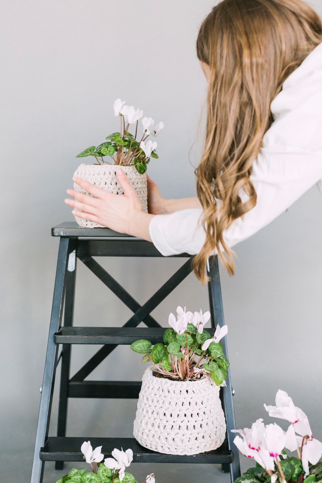 The Four Indoor Plant Care Essentials No One Talks About