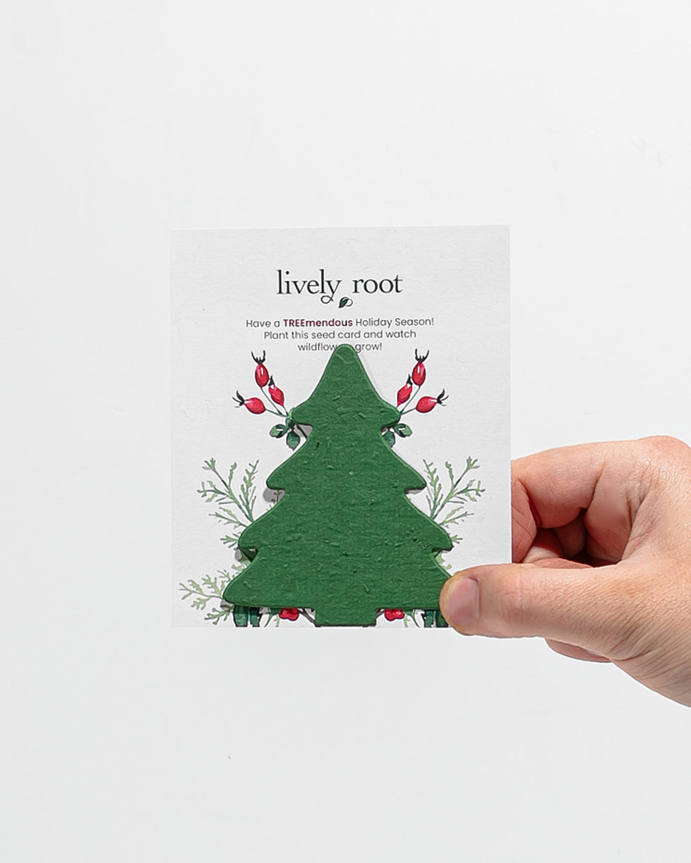 flower seed greeting cards Wildflower Seed Paper Note Card Happy Holidays
