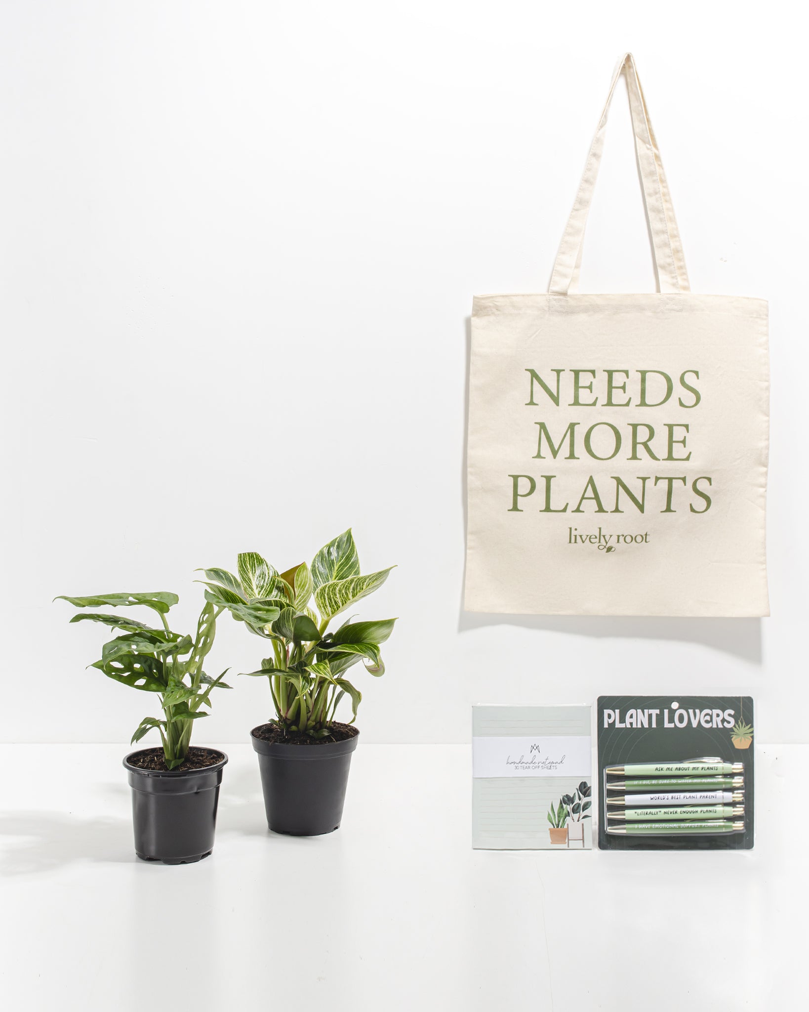 plants delivered to my house Study Buddy Care Package: Unique