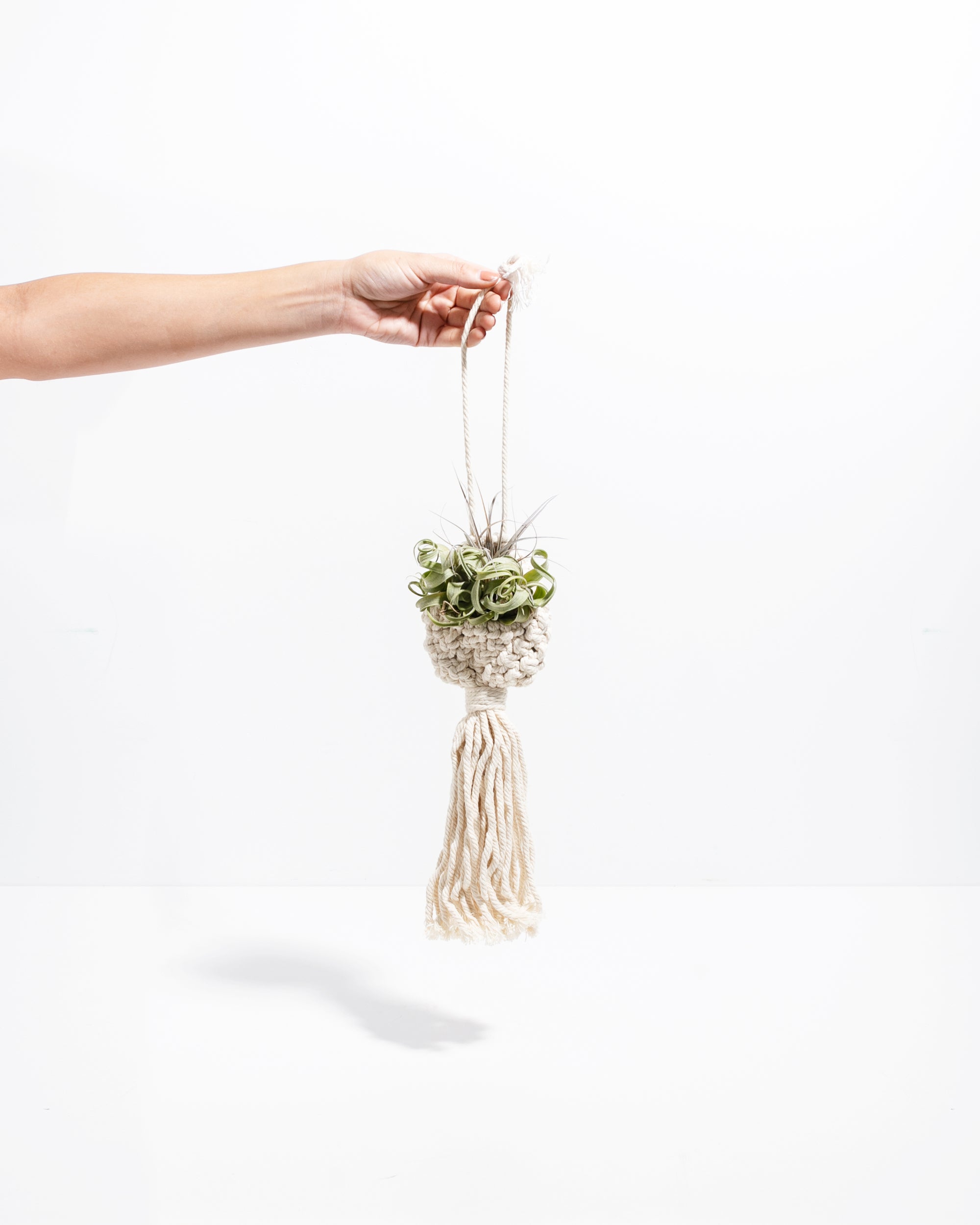 air plant macrame hanger Macrame Air Plant Ornament