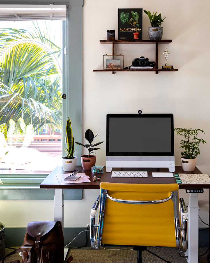 Styling Plants for the Home Office