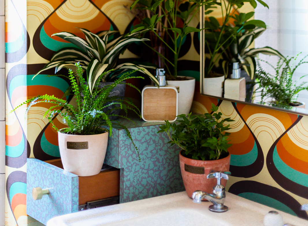 7 Ways to Style Live Plants for the Bathroom