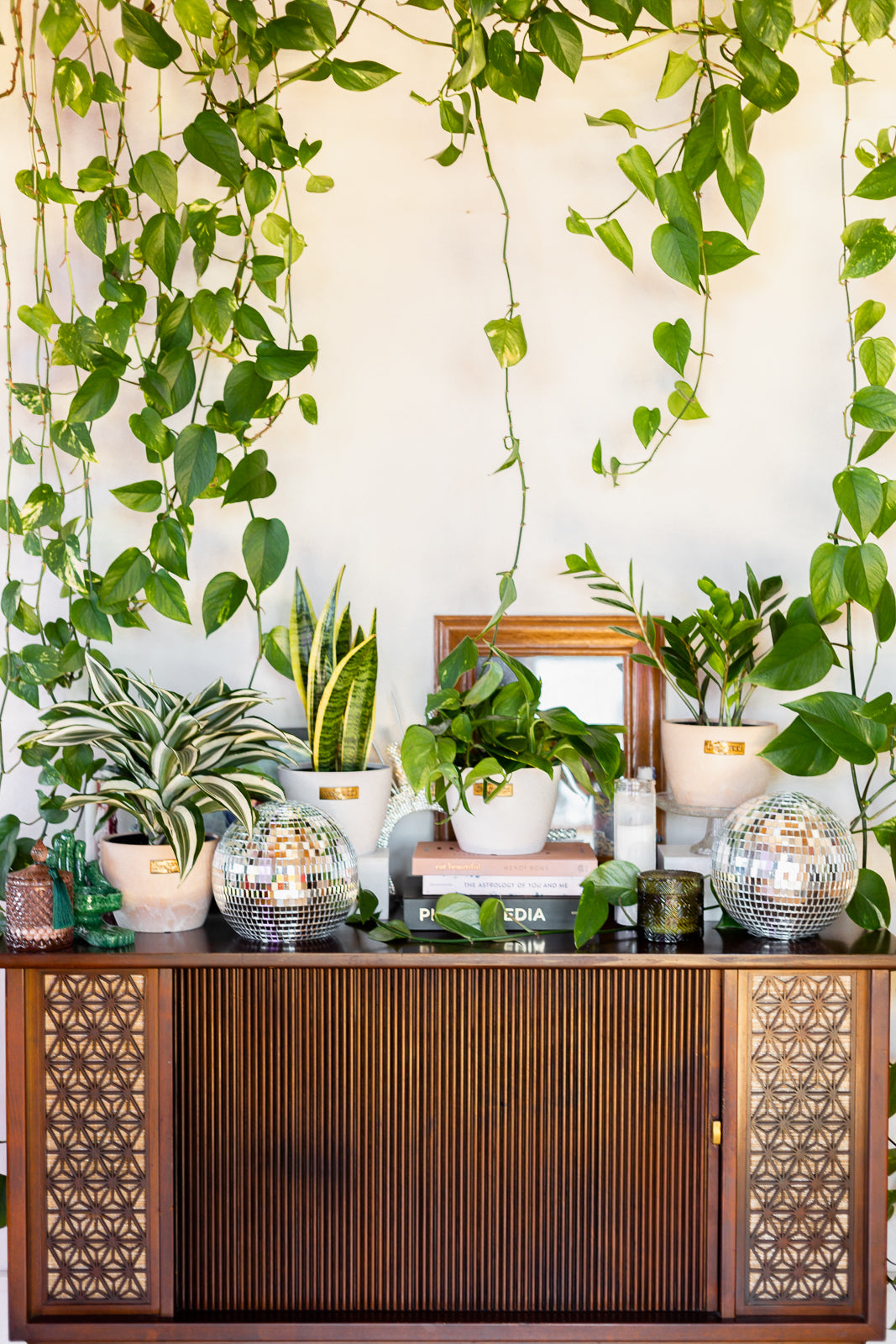 Indoor Plant Appreciation - Plant Enneagram Types