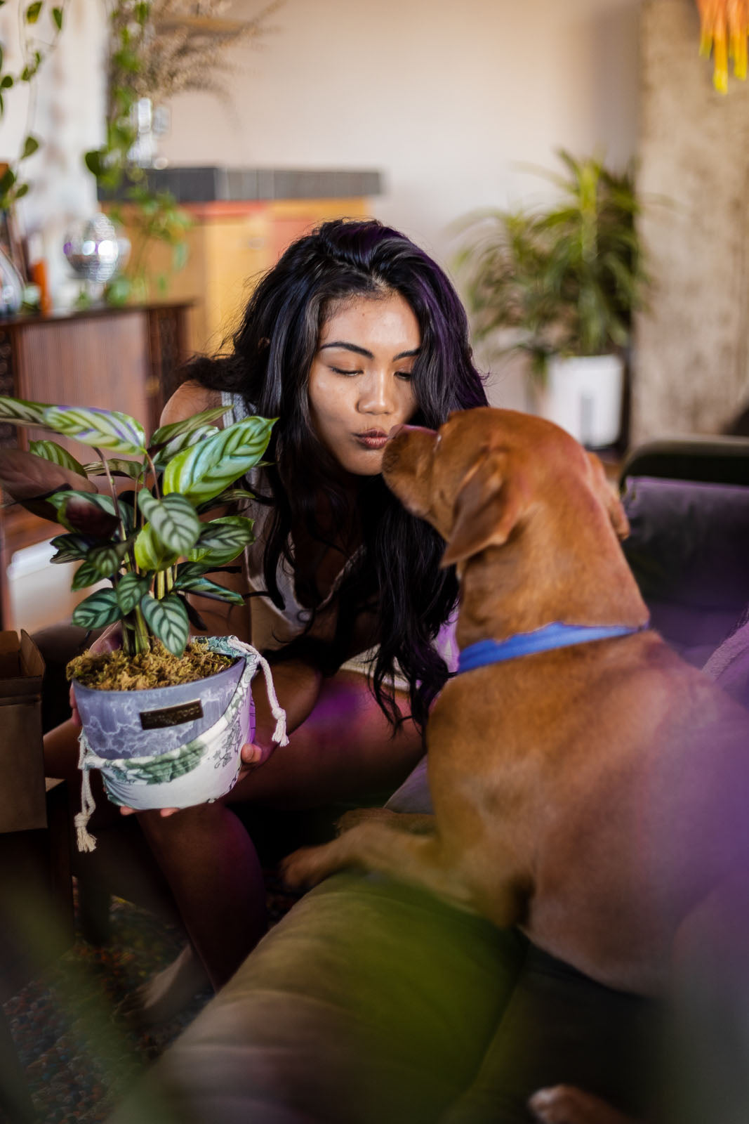 Four Ways to Keep Pets from Eating your Plants