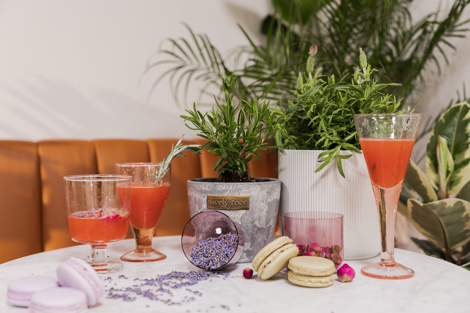 Try Our Fresh Strawberry Basil Margarita!