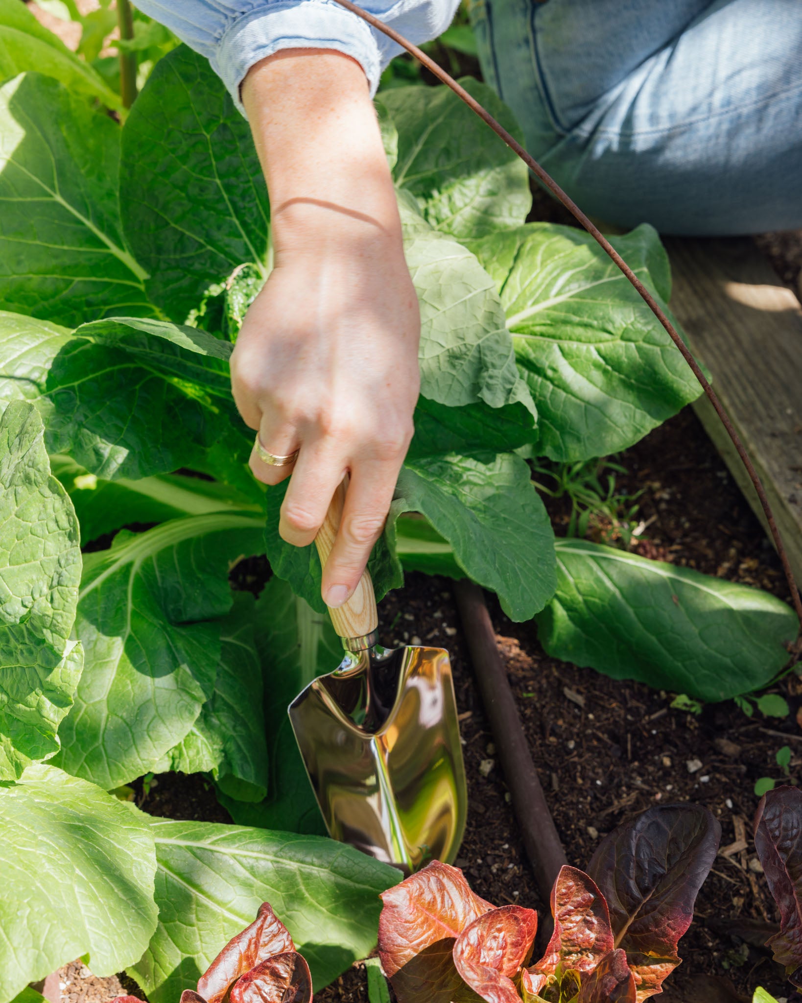 Therapeutic Gardens as PTSD Treatment
