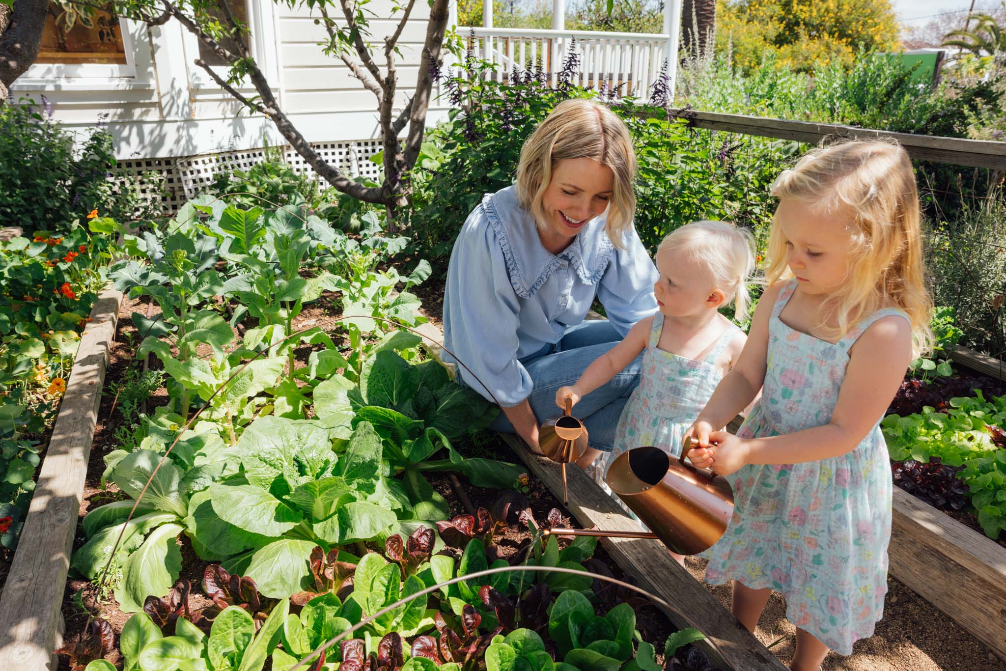 9 Garden Plant Accessories