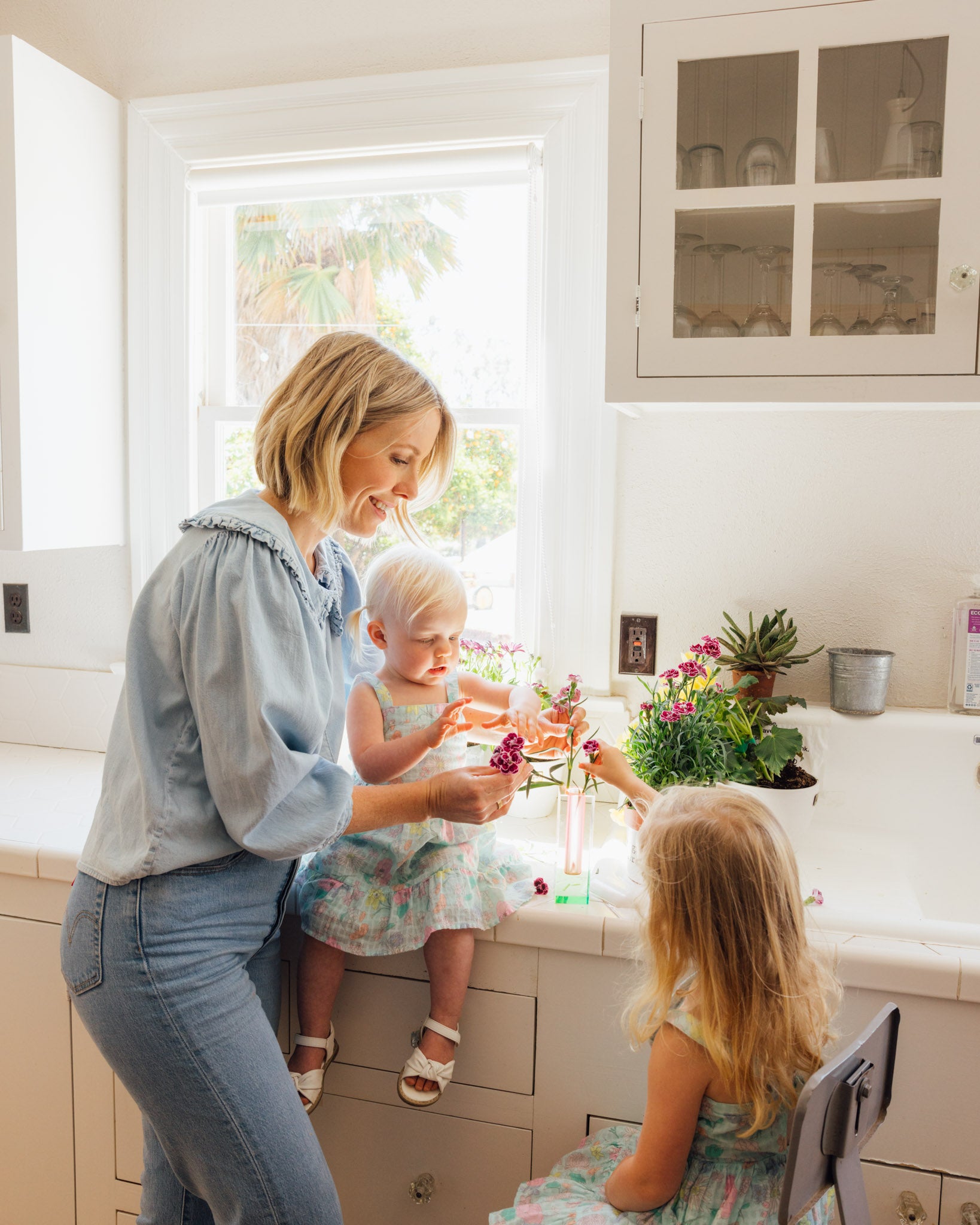 How to Increase Humidity for Indoor Plants