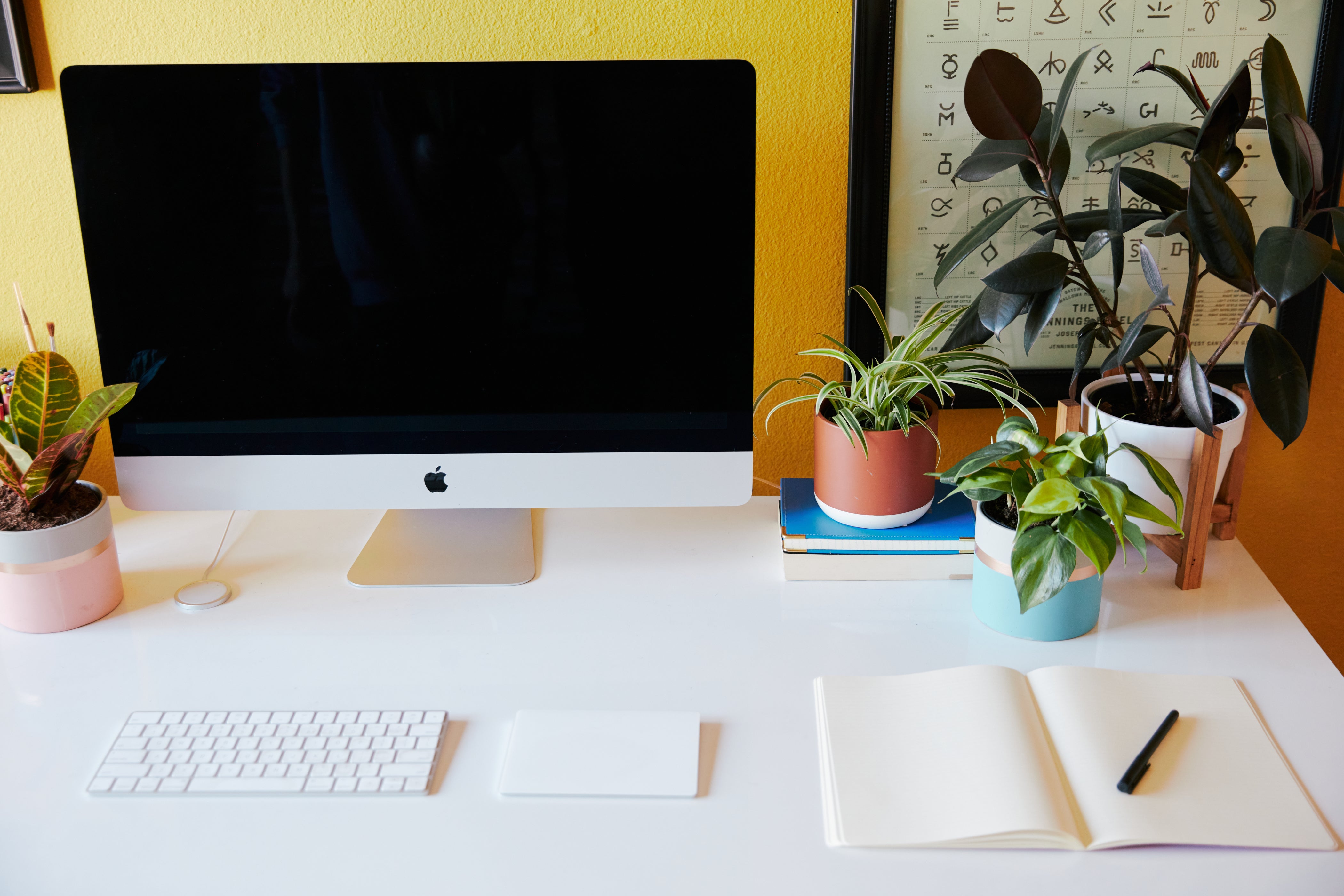 Plants and Productivity