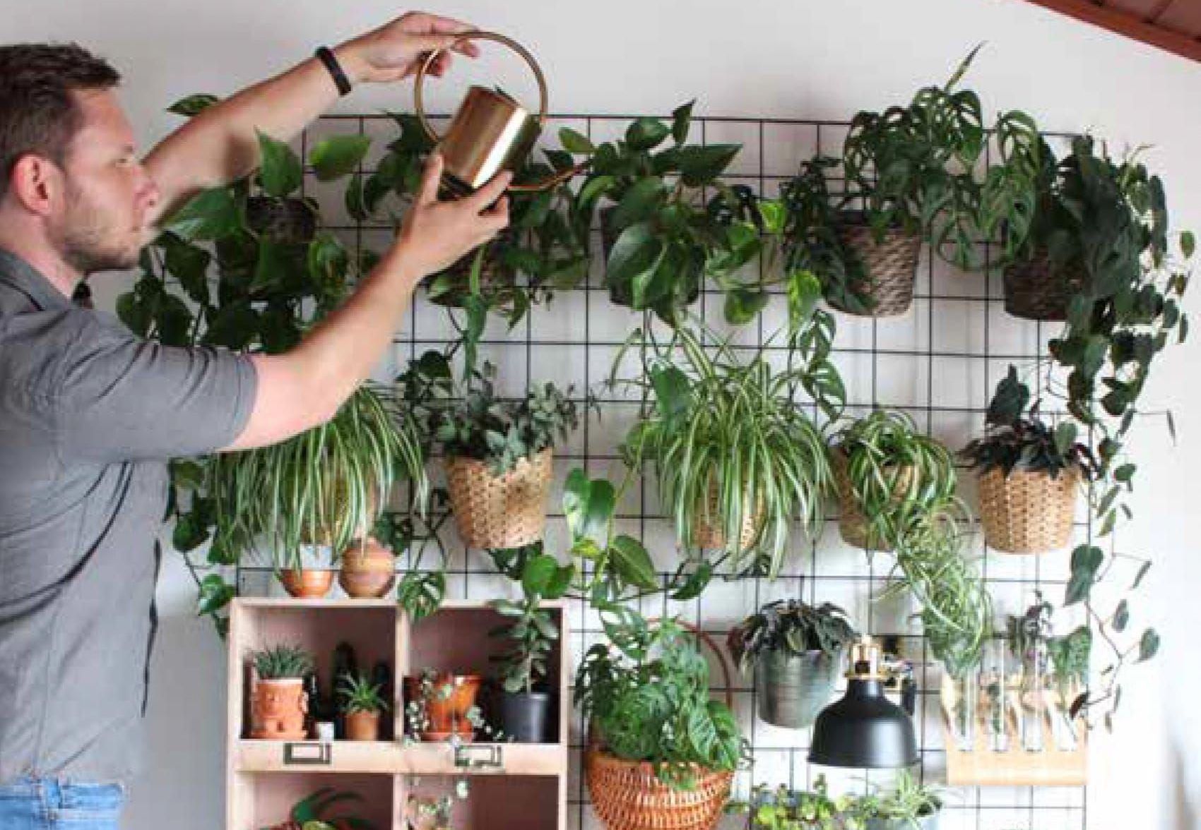 5 Plants That Are Father's Day Approved