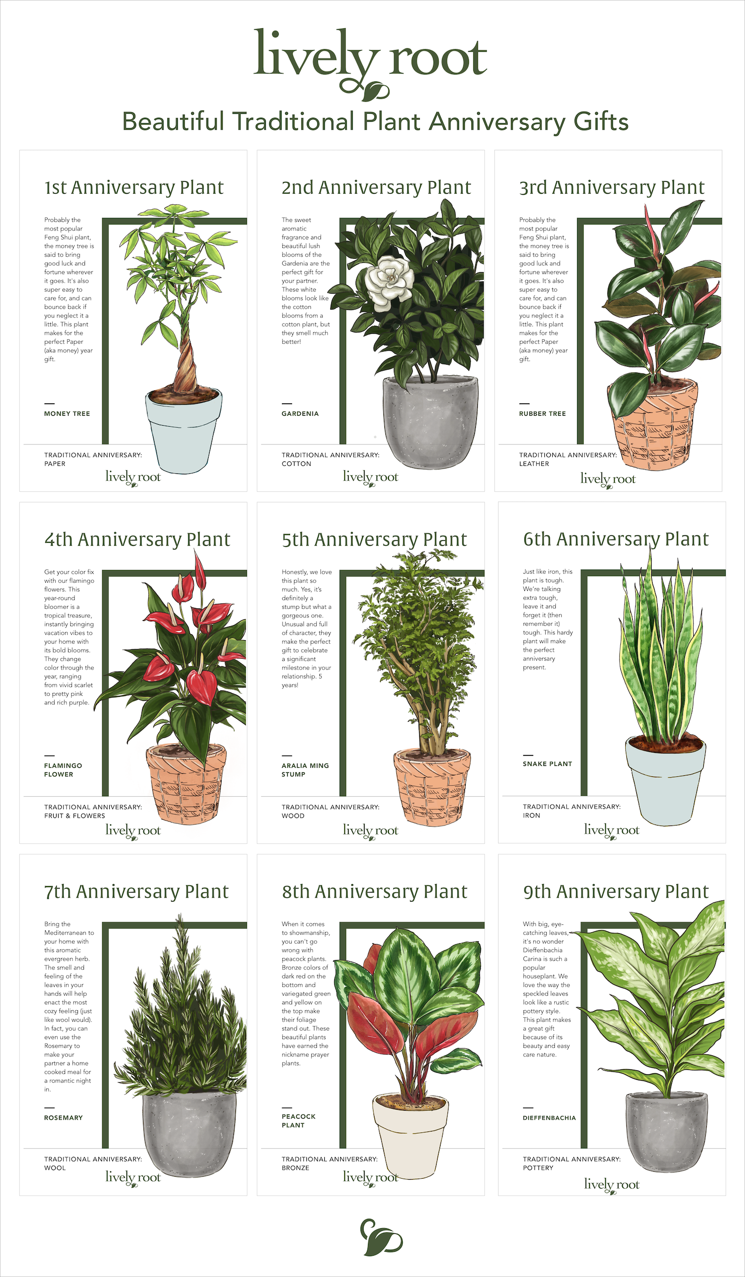 24 Beautiful Traditional Plant Anniversary Gift Ideas