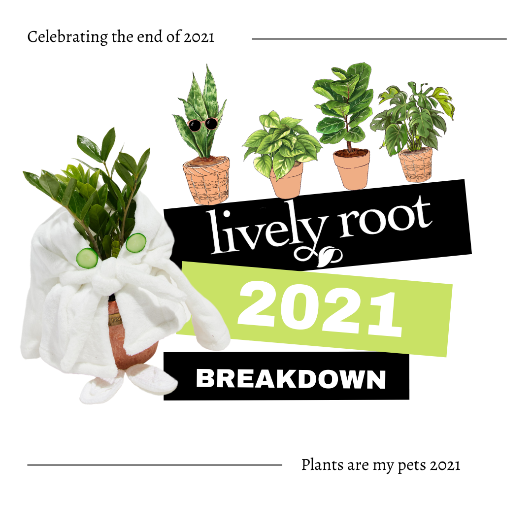 The Most Popular Plant Happenings Of 2022