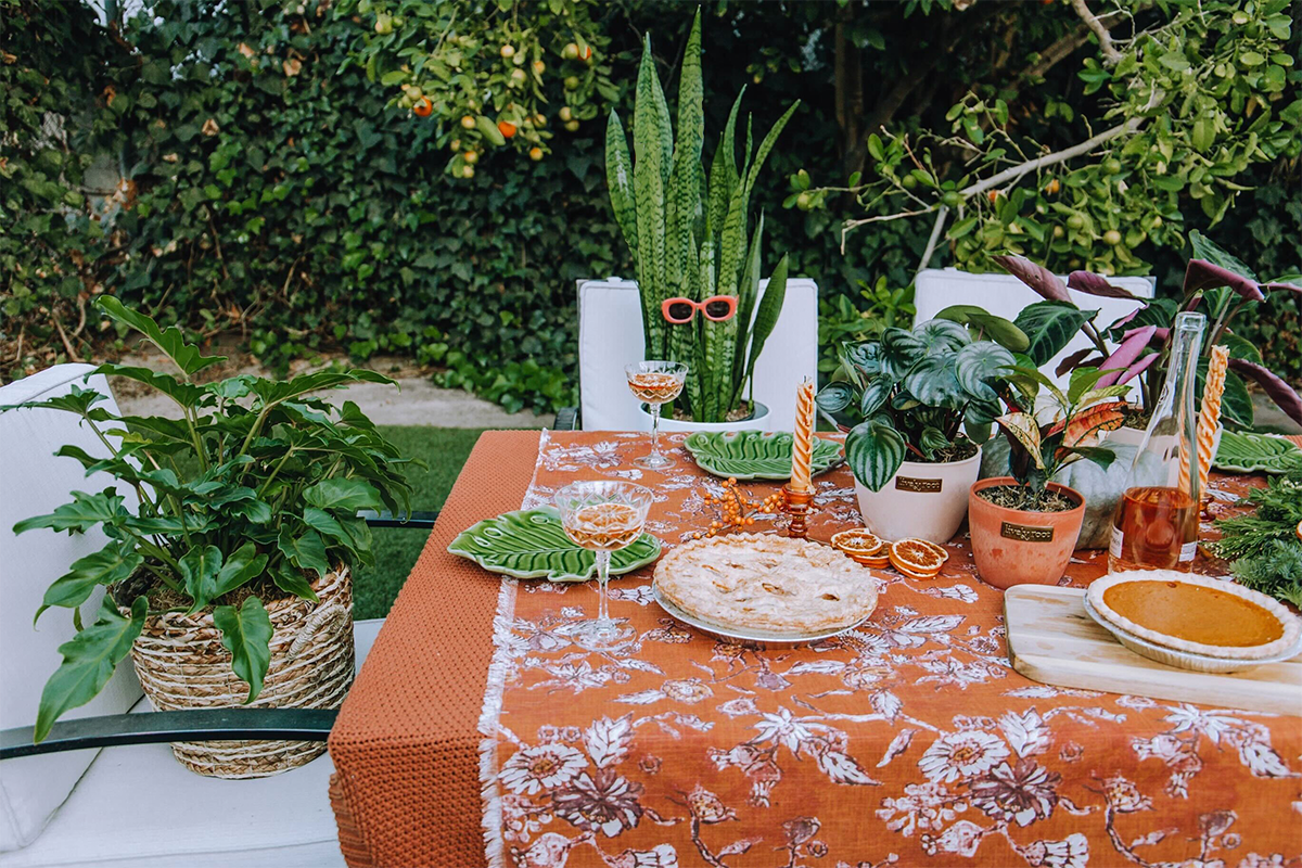 Invite Your Plant Friends To The Holiday Fun!