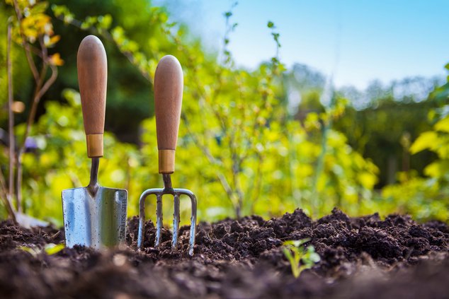 Essential Tools for the Gardening Toolbox