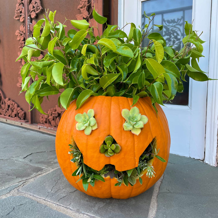 Halloween Pumpkin Carving Activity