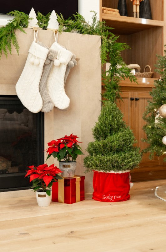 How to Decorate a Small Living Room for Christmas