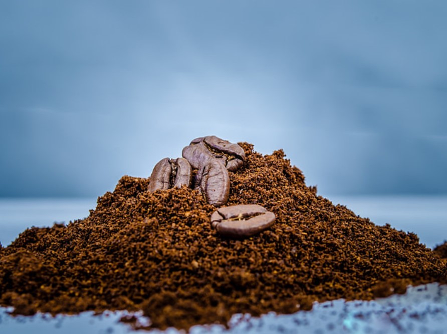 Are Coffee Grounds Good For Plants As Fertilizer?