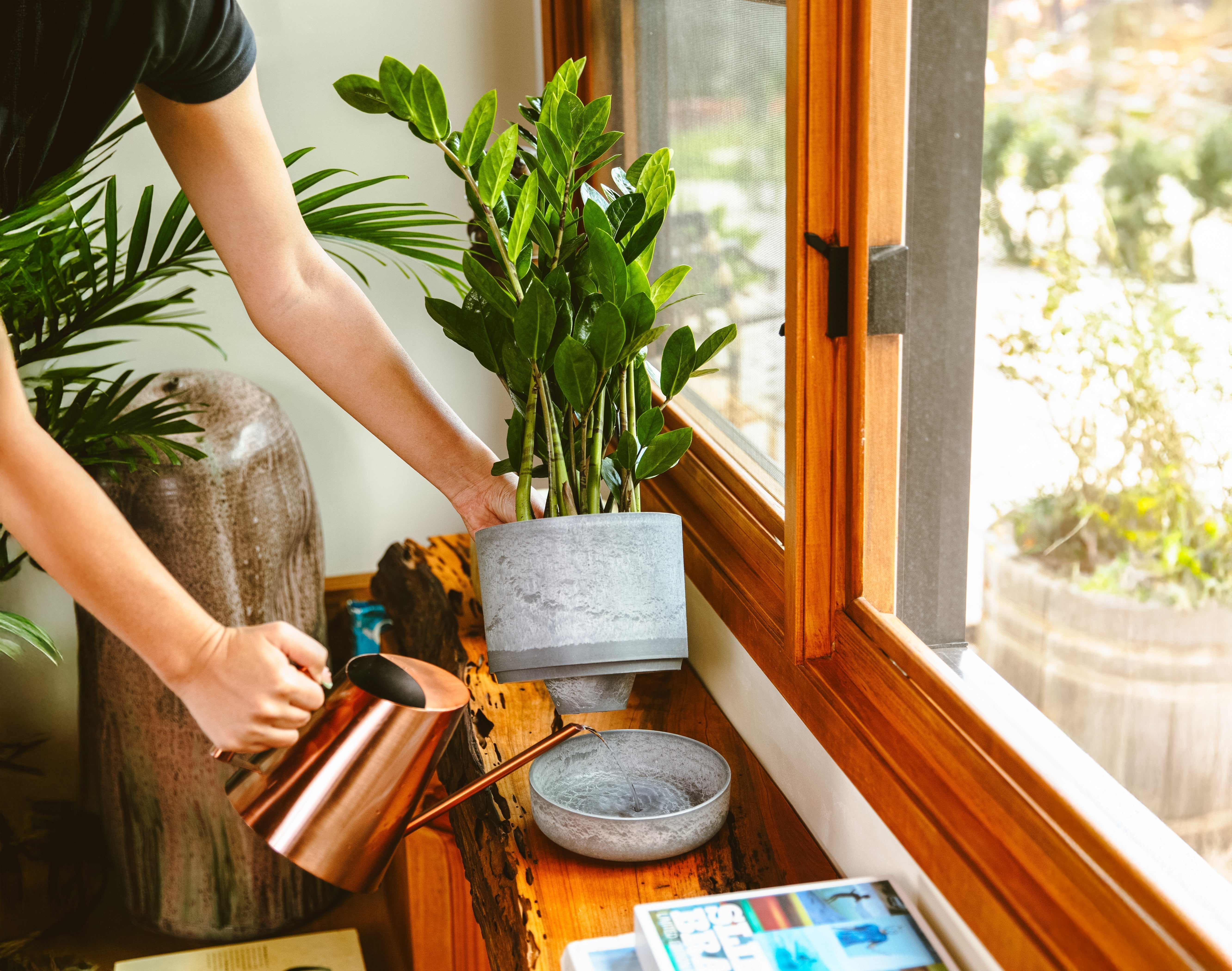 How to Use Self Watering Pots