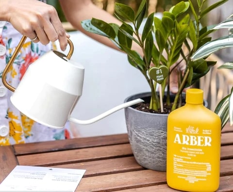 When & How Often to Water ZZ Plant