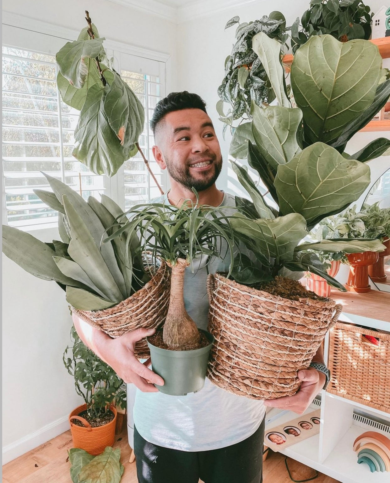 Put a Plant On It for Indoor Plant Week! Discover The Best Plant For Every Room