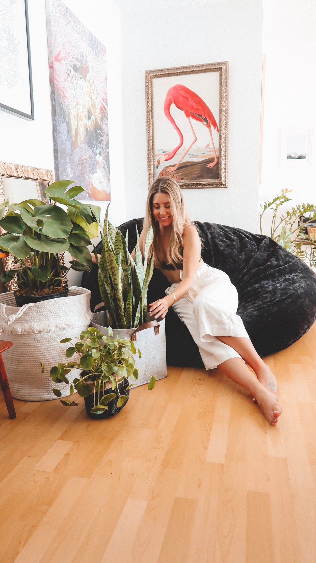 Which Plants Can I Grow In San Diego?