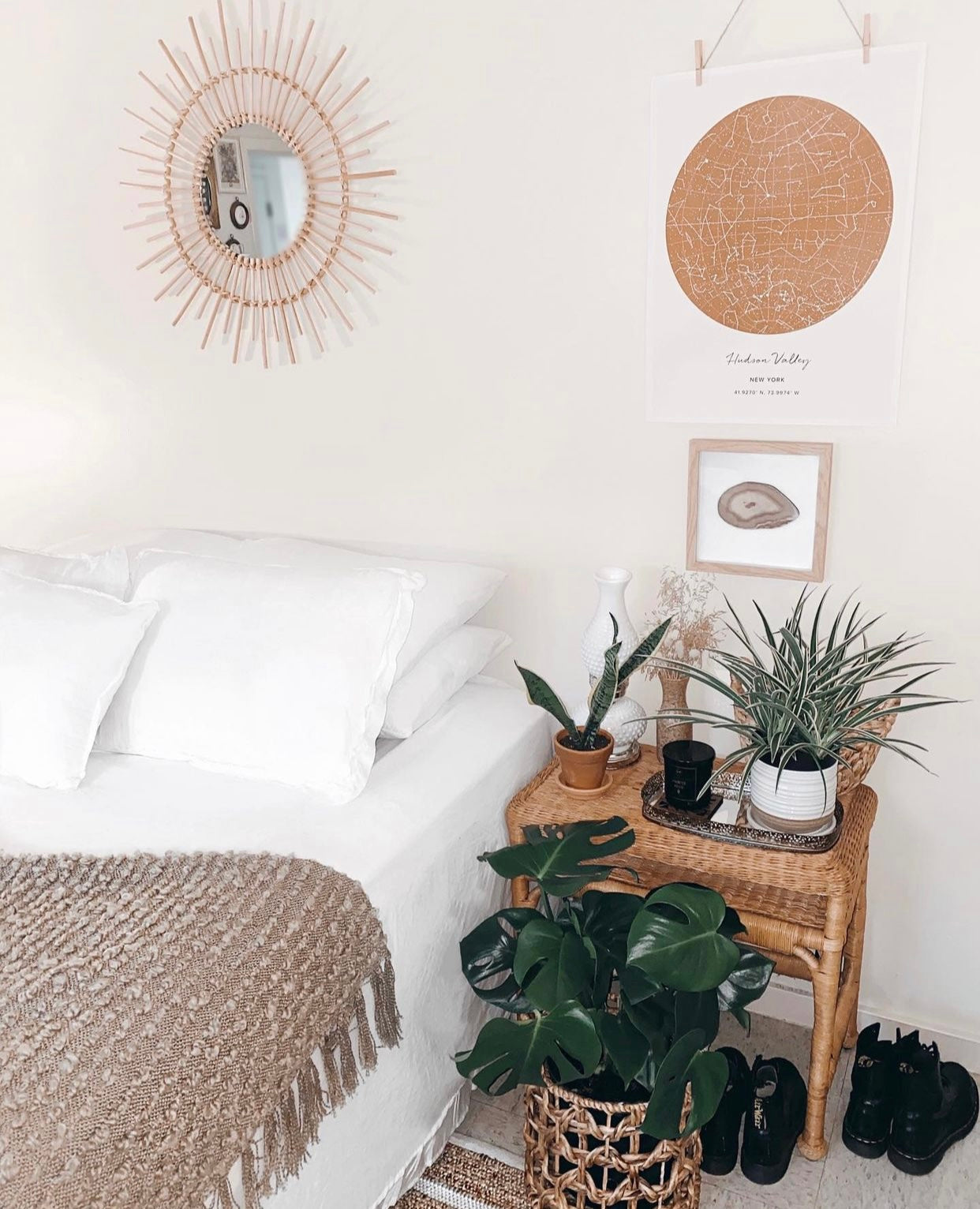 Plants vs. Purifier: Who does it best?