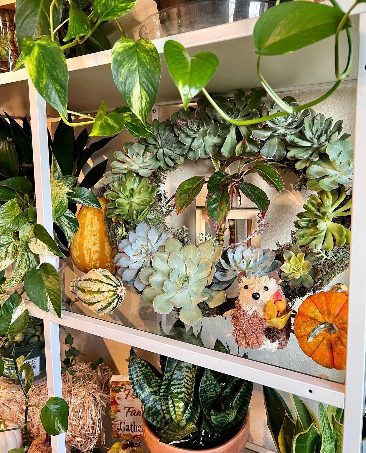 Black Friday - 30% Off Everything (Including Subscriptions and Gifts!)