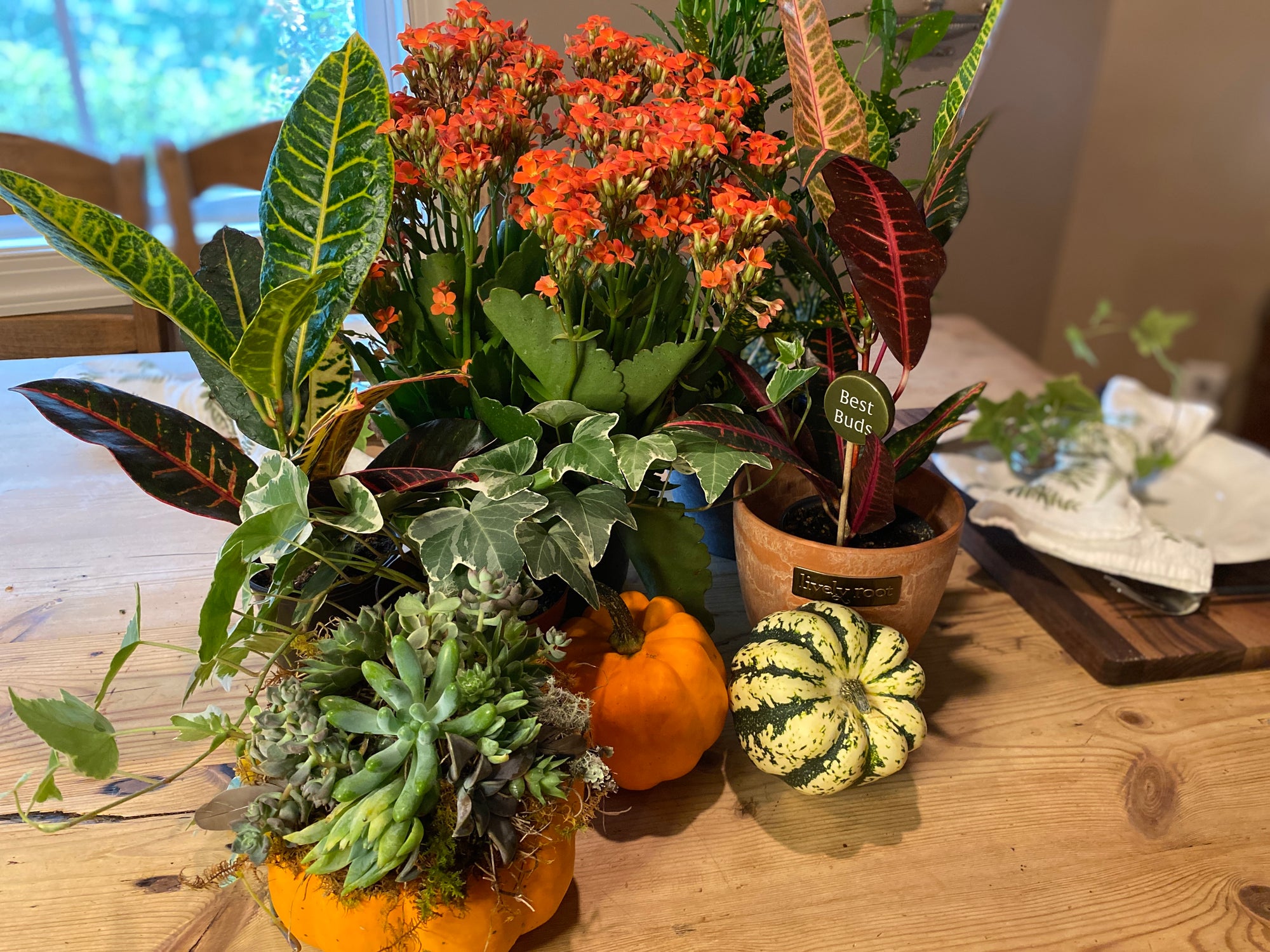 Decorating Ideas for Fall Festivities