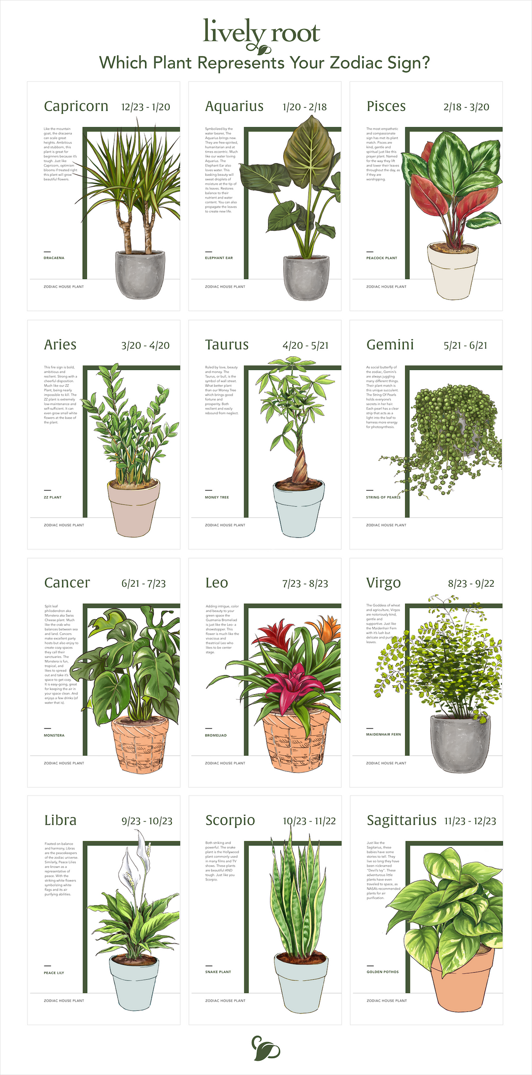 Which Plant Represents Your Zodiac Sign?