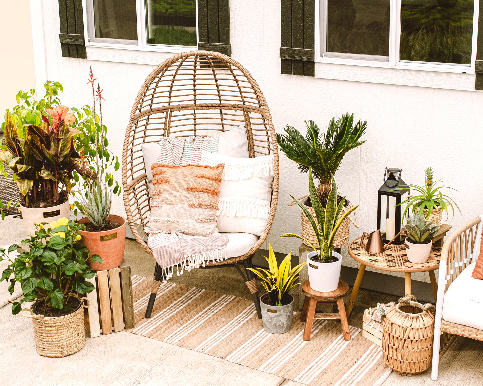 Tips For Moving Your Indoor Plants Outside For The Summer