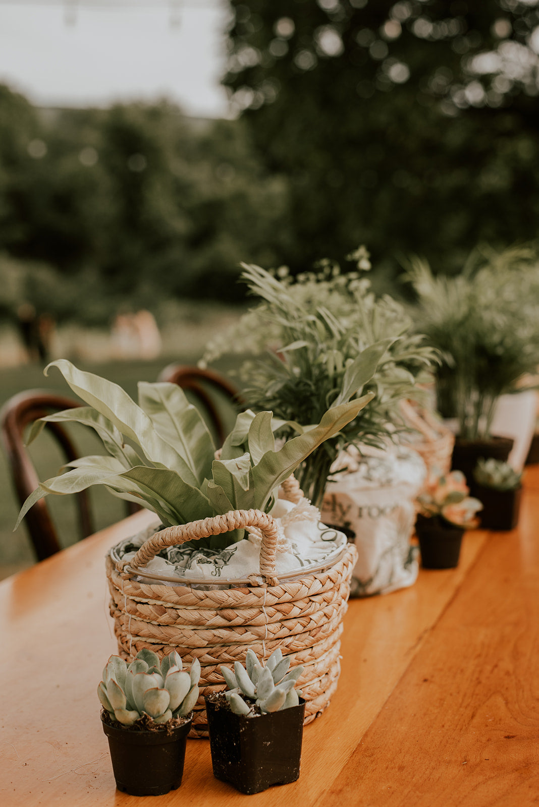 12 Beautiful Bridal Shower Centerpieces