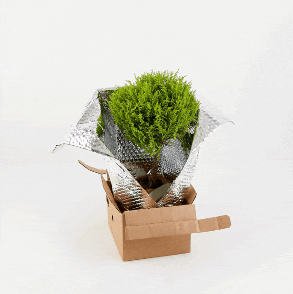 Lively Root Keeps Your Plants Safe & Warm with Plantagonia Gear