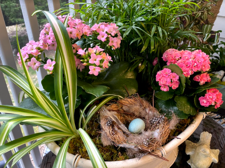 DIY Spring Crafts with Plants - Plant Easter Basket
