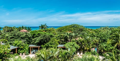 Bringing Nature Back with Regenerative Agriculture - The story of Cala Luna