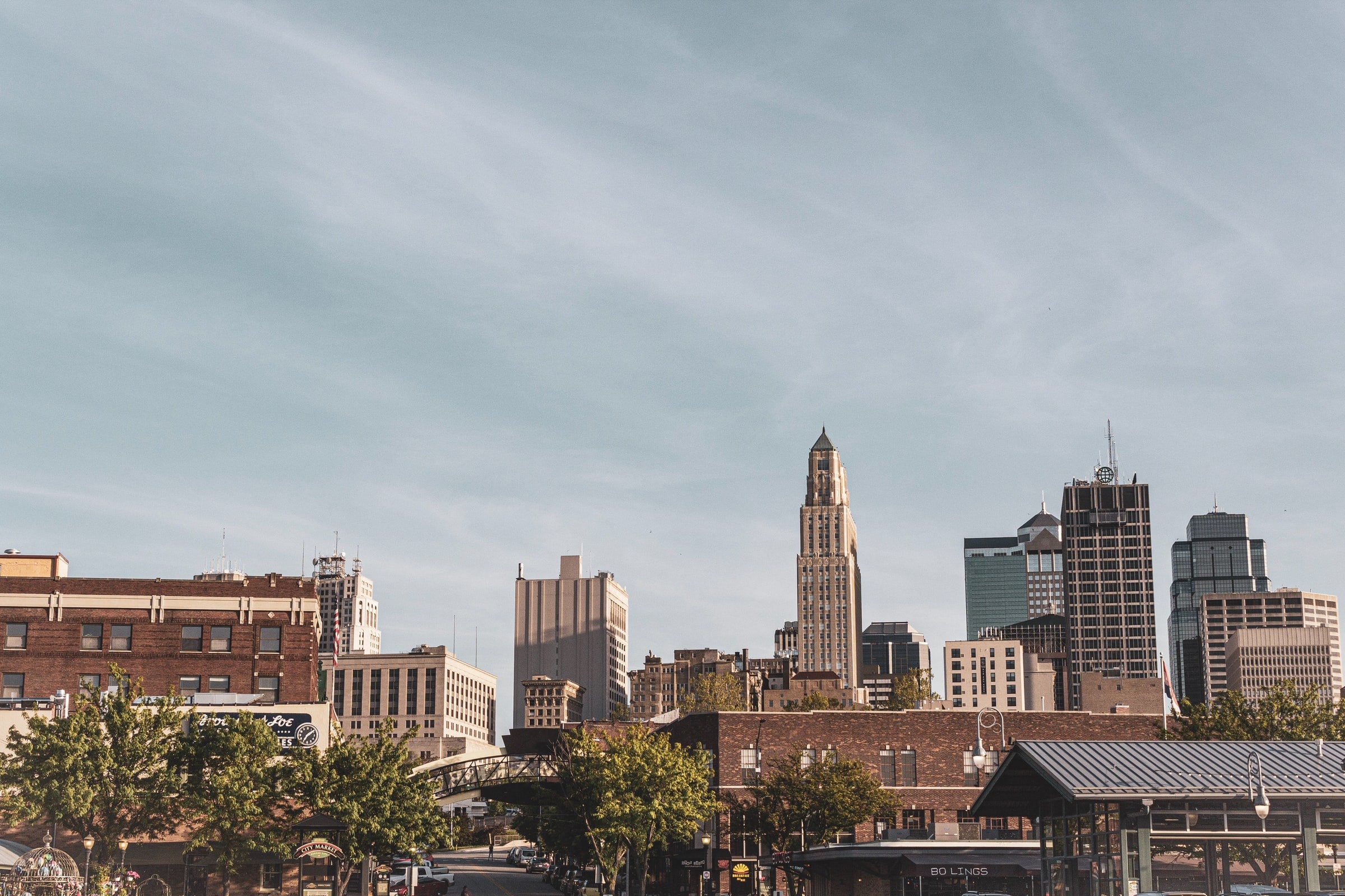 What Plants Can I Grow in Kansas City?