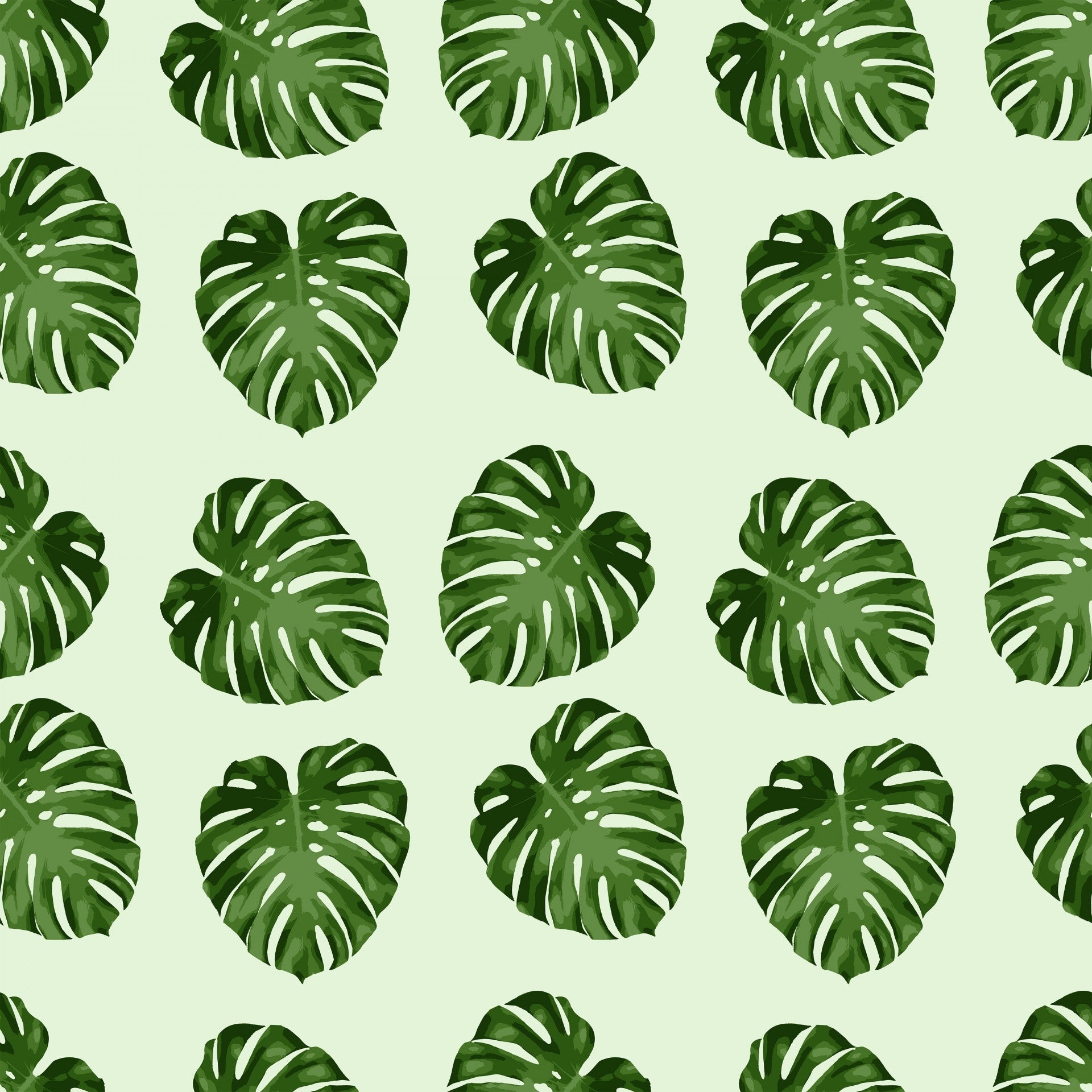 Monstera Leaf Pattern Lively Root