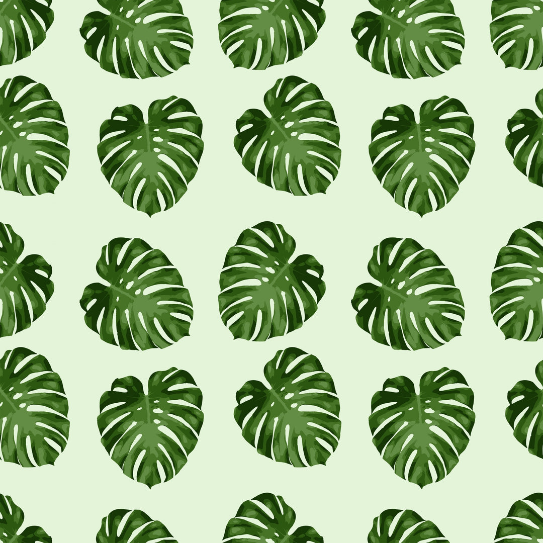 Monstera Leaf Pattern Lively Root