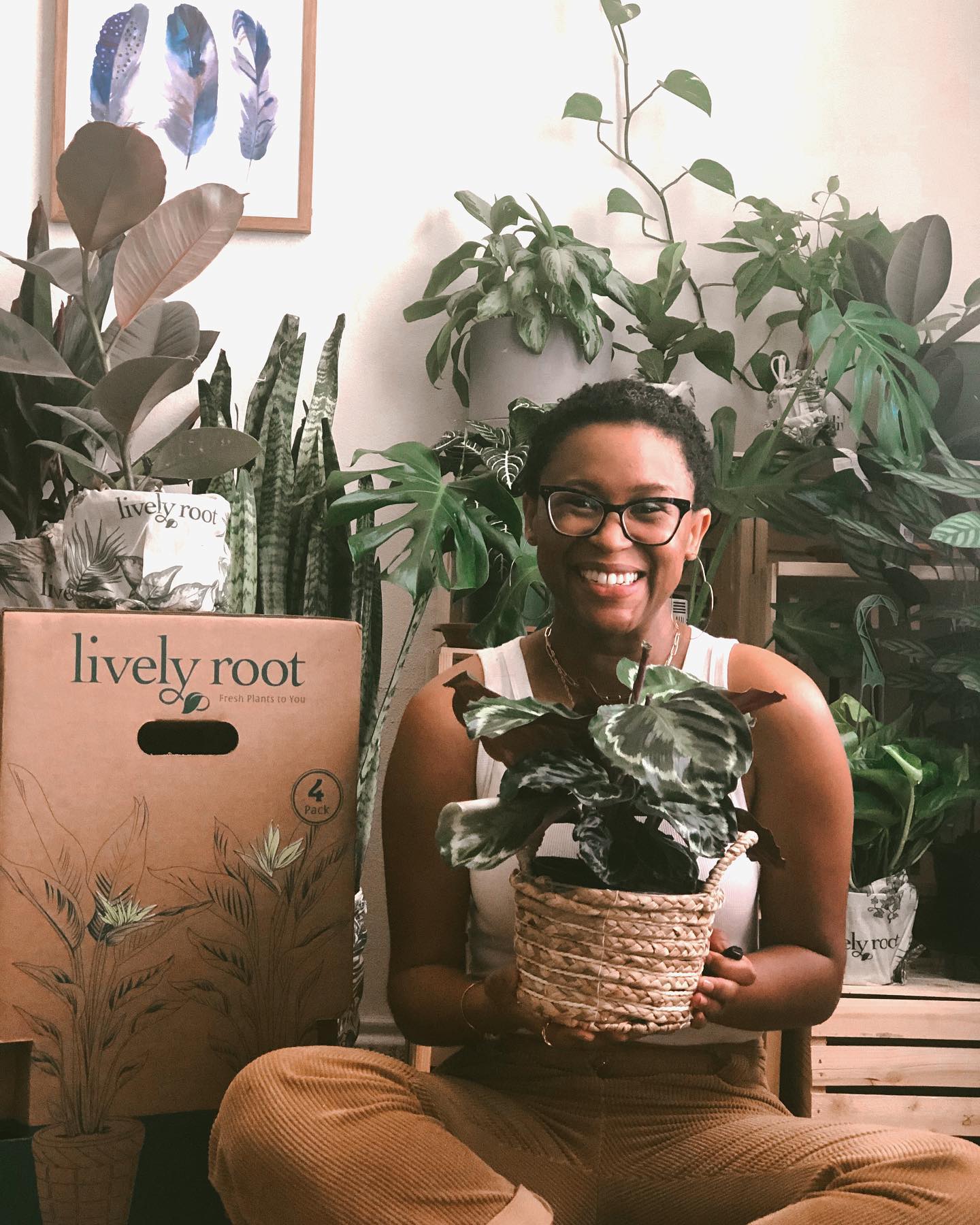 Lively Root Now Offers Carbon Offsetting For Orders!