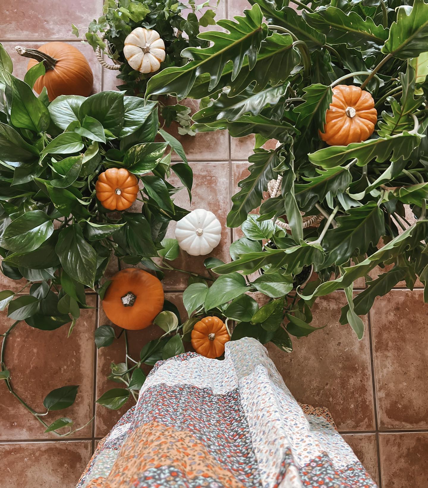 Fall Decor Trends We Live For!