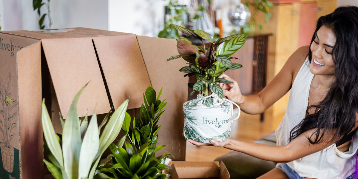 NYC Plant Delivery Service Bring Nature to Your Doorstep
