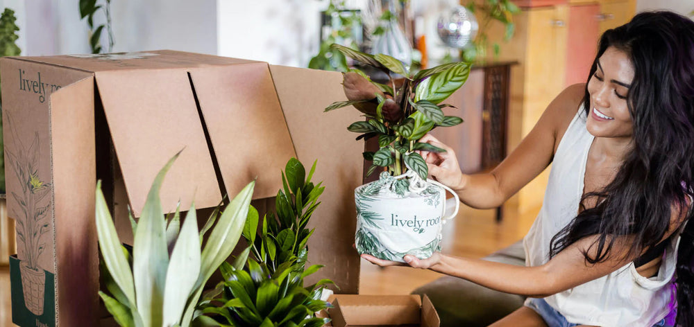 Baton Rouge Plant Delivery
