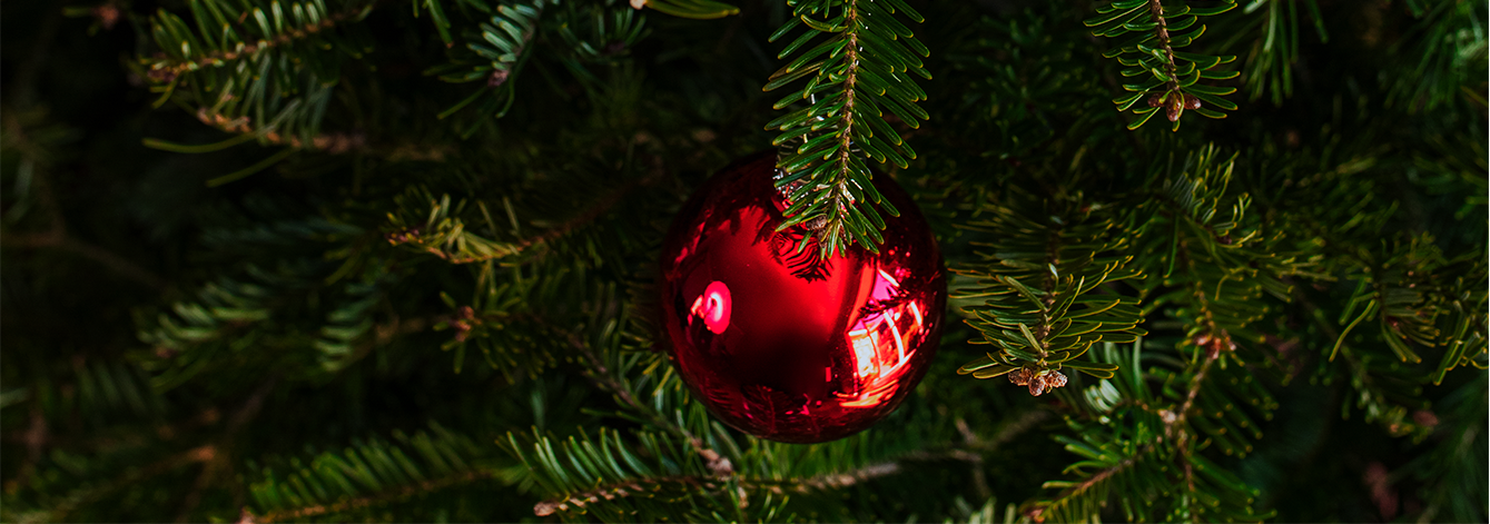 Christmas Tree Delivery