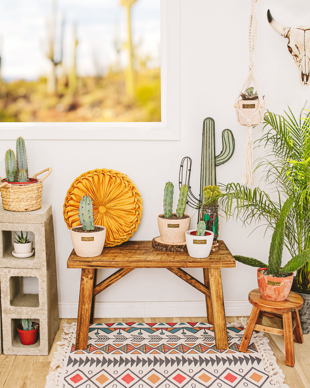 Drought Resistant Plants