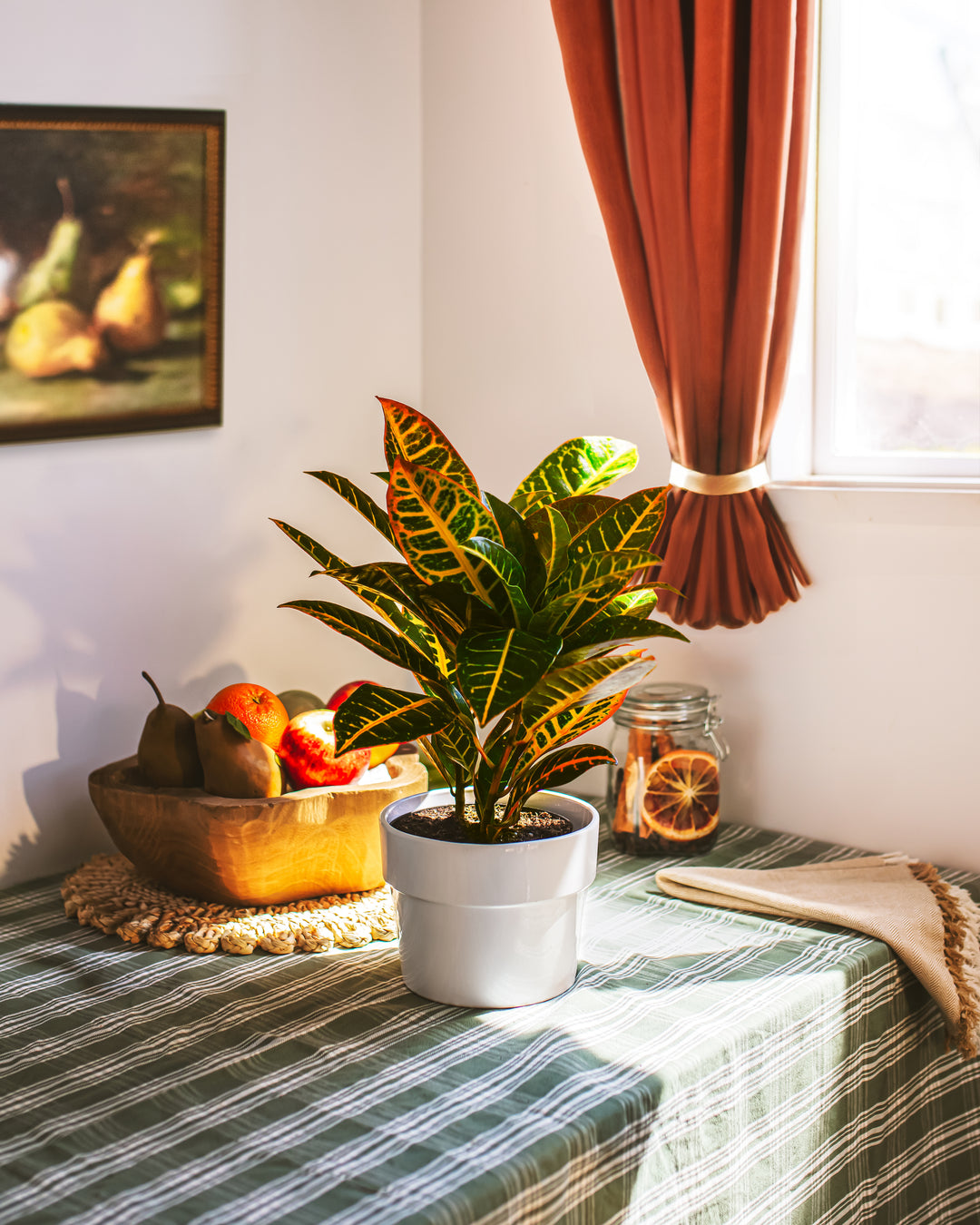 Fall Solstice Collection