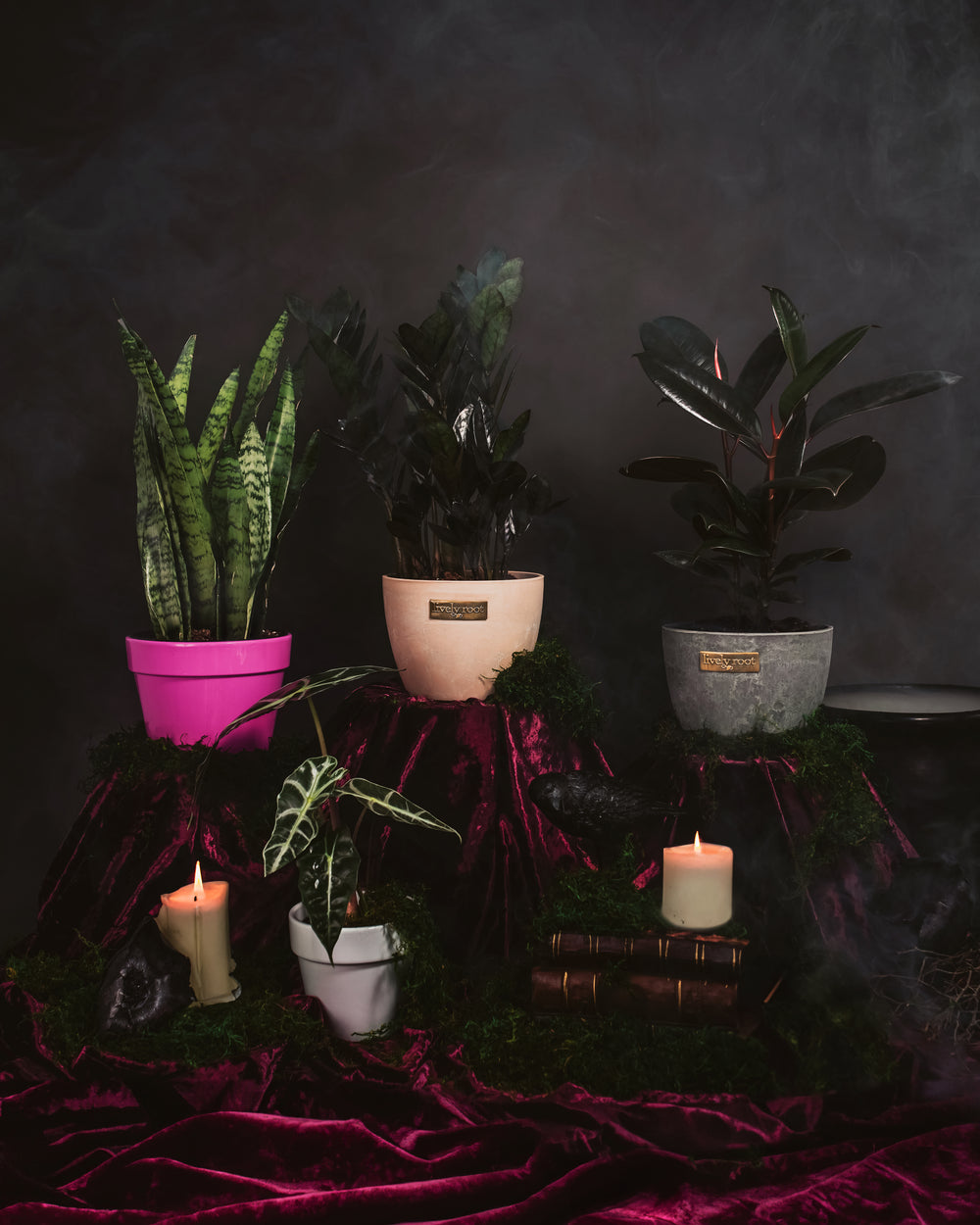 The Halloween Collection