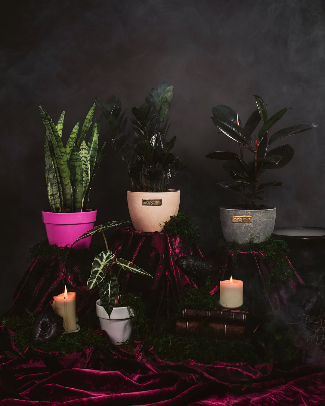 The Halloween Collection