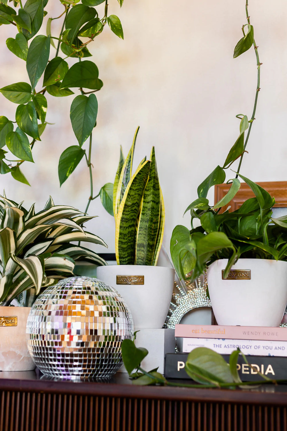 Housewarming Gifts