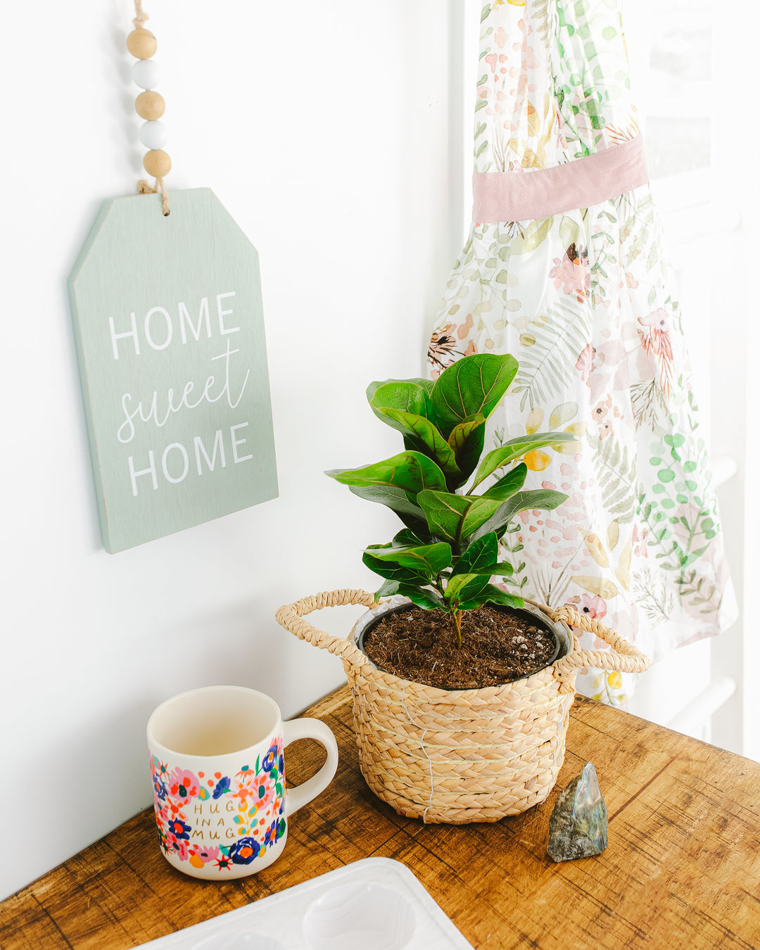 Plant Gifts for Cancer