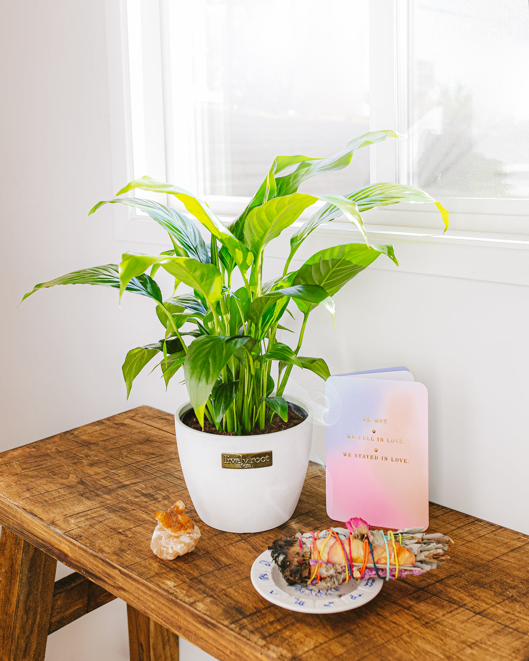 Plant Gifts for Libra