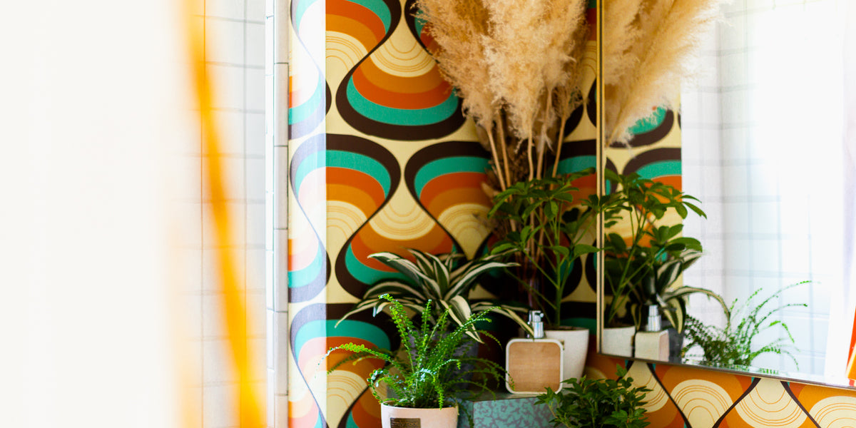 33 Best Plants for Bathroom With Easy-Care Needs